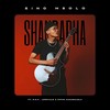 Shandapha - Sino Msolo&S.O.N&LeRoyale&Sipho Magudulela