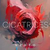 Cicatrices - Nereo
