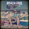 Stupid (Explicit) - Roach Gigz&Lil B&Husalah