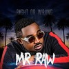 Hustlers(feat. Flavour) - Mr Raw&Flavour