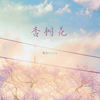 杏树花 - 尾巴Viola