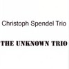 Furious Melting - Christoph Spendel Trio