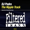 The Nipple Track (In Your Face Mix) - DJ Pedro