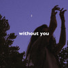 Without You (Slowed + Reverb) - slowed down music
