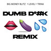 Dumb Dick (Remix|Explicit) - Big Money Blitz&Level&Trina