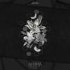 Afterlife (feat. Bailey) - goddard.&Bailey
