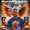 Nkase Sale Le Ngwana (feat. Top Dog) - QUICKS THE PRESIDENT&Top Dog