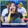 TUNGKEK MAMBAOK RABAH (Deviana Safara) - NIRWANA COMEBACK