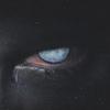 No visto formal (Explicit) - Keymi K