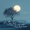 天苍苍 夜茫茫 - 格雷西西西