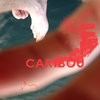 The Snow Capes [live] - Caribou