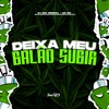 Deixa Meu Balão Subir (Explicit) - DJ AGC Original&Mc GW&FreesTyle Sounds