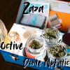 Zaza (feat. Donte Nphatic) - 0ctive&Donte Nphatic