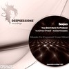 Decorated Permutations (Radio Edit) - Sequo