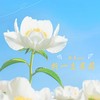 折一支茉莉 - 陆杰awr