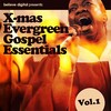 Jesus What a Wonderful Child - San Bartolomeo Gospel Choir