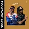 FLOW CASH LEVEL (Explicit) - Phenix Family