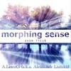 Still Here (feat. Sean Garnier) - Morphing Sense&A.LesniG&Séan Garnier