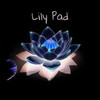 Lily Pad - Cod Gomplex&3MB3RS&SOMETHING HAVEN