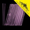 Merging (Wild Glitch Dub) - TJ Kong&Nuno dos Santos&Robert Owens