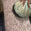 Who Told U (Explicit) - Zay Mula