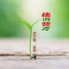 情芽 - 诗子明&徐木子