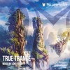Encounter (Elite Electronic Remix) - Igor Dyachkov