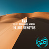 AVA (feat. Roohangiz Mirzai) (Main Mix) - Elliot DeHoyos&Roohangiz Mirzai