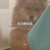 大香蕉（钢琴版） (cover: 北昼) (其他) - 孤鴻