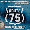 Own The Night (Miami Rockets Mix) - Nicola Fasano&Honorebel&Shaggy