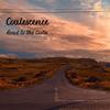 Groovin in the moonlight - Coalescence