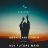 Mein Garib Sala-Koi Future Nahi (Explicit) - Red Rose