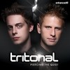 Sometimes I Wish (Original Mix) - Tritonal&Bethany