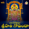 Jaya Venkateswara Srihari Govinda (Annamayya Madhura Gaanam) - G Balakrishna Prasad&BULLEMMA RAVURI