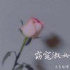 窈窕淑女 - 良音制噪&蒋杉杉