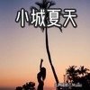 小城夏天 - DJ阿诺