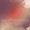 Tonto (Original Mix) - Brett Relish