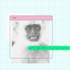 Qual É A Sua? - Mahmundi