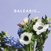Balearic 3 (Continuous Mix) - Balearic