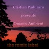 Have Godly Sorrow (Vibrant Ambient Mix) - Cristian Paduraru