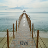 Pumpkin - Teva