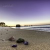 Seashells (Trance Mix) - SaMRaS