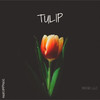 Tulip - Hugecompmusic&Leavv&Unknown Brain&Lost Sky