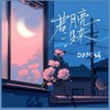 若月亮没来 (DJ阿诺版) - DJ阿诺