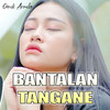 Bantalan Tangane - Denik Armila