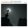 Mendelssohn: Violin Concerto In E Minor, Op. 64, MWV O14: 1. Allegro molto appassionato - Carolin Widmann&Chamber Orchestra of Europe