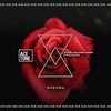 Firework (Original Mix) - Steve Tosi&Nari&Lissat