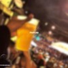 Papum - Elk_Music