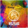 Rising star (Original Mix) - DP