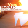 No Disclaimers (Curse Ov Dialect Remix) - The Herd